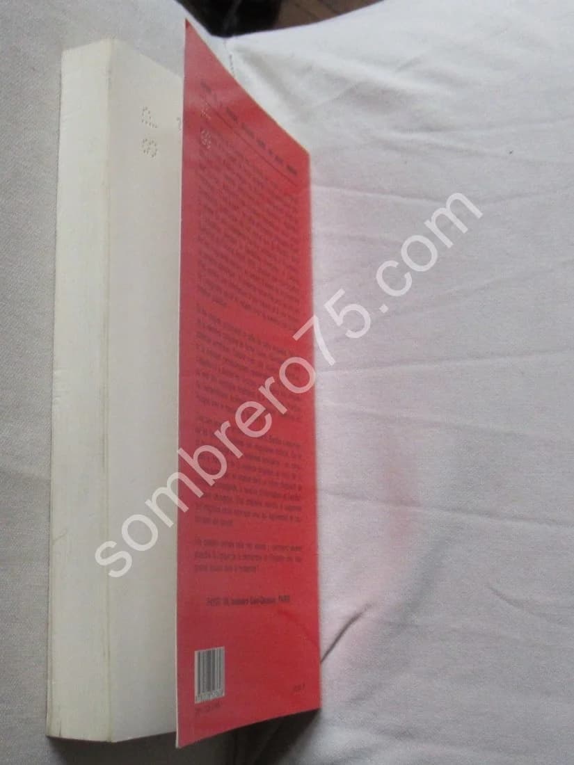 Les Imaginaires Sociaux - Image 4