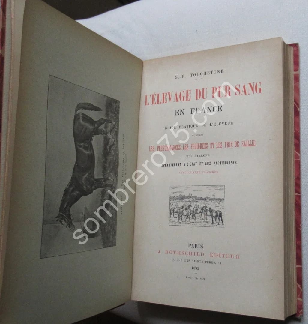 L'Elevage du Pur Sang en France. S.F. TOUCHSTONE - Image 3