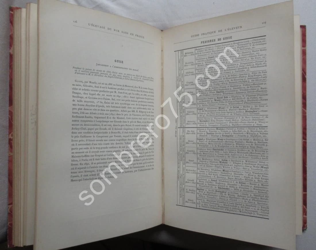 L'Elevage du Pur Sang en France. S.F. TOUCHSTONE - Image 7