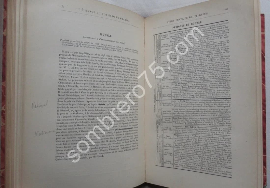 L'Elevage du Pur Sang en France. S.F. TOUCHSTONE - Image 8