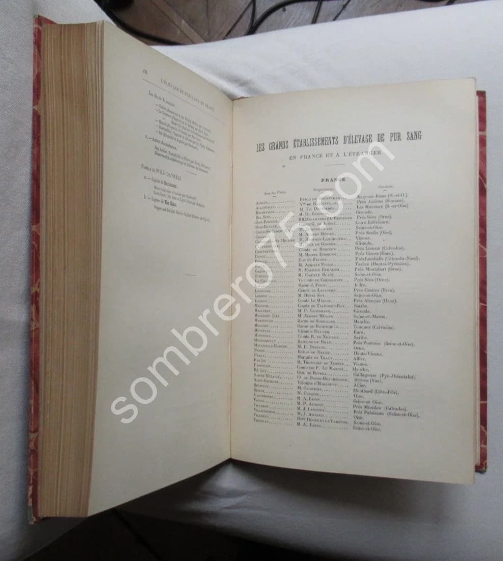 L'Elevage du Pur Sang en France. S.F. TOUCHSTONE - Image 9