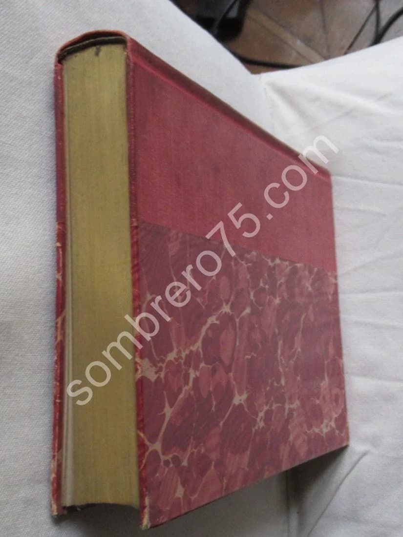 L'Elevage du Pur Sang en France. S.F. TOUCHSTONE - Image 10