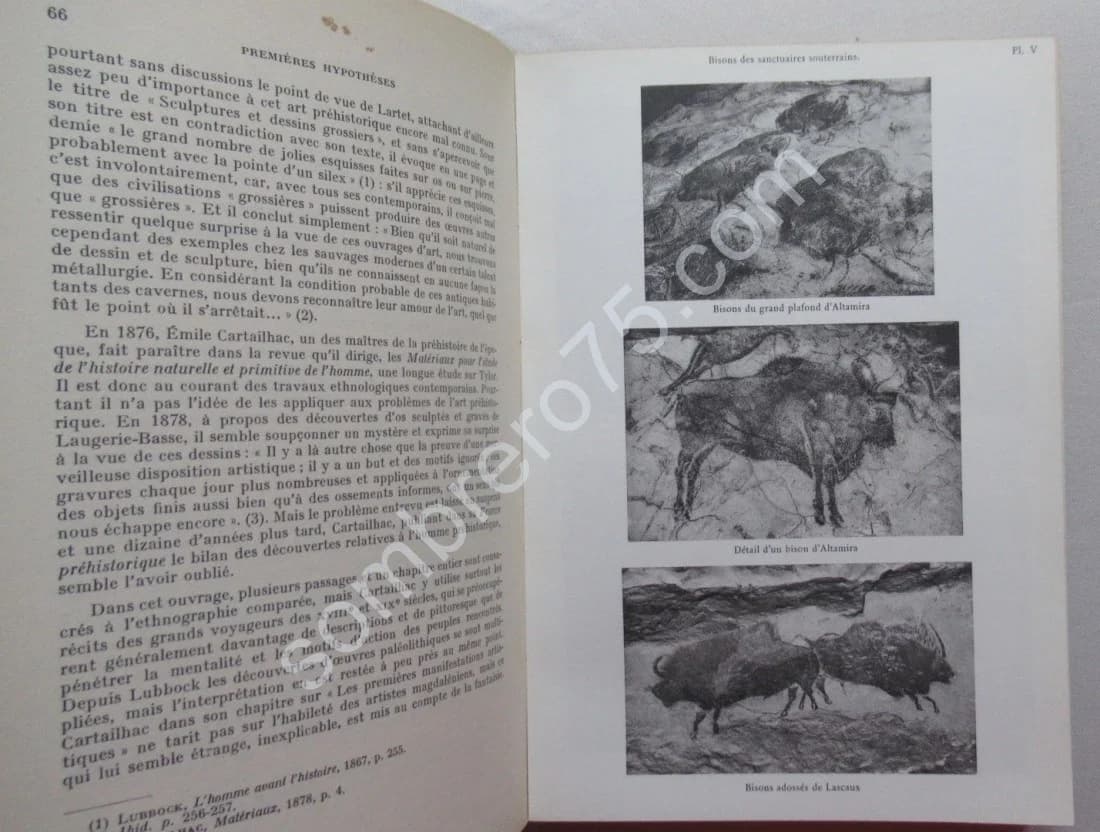 La Signification de l'Art Rupestre Paléolithique. Laming Emperaire - Image 4