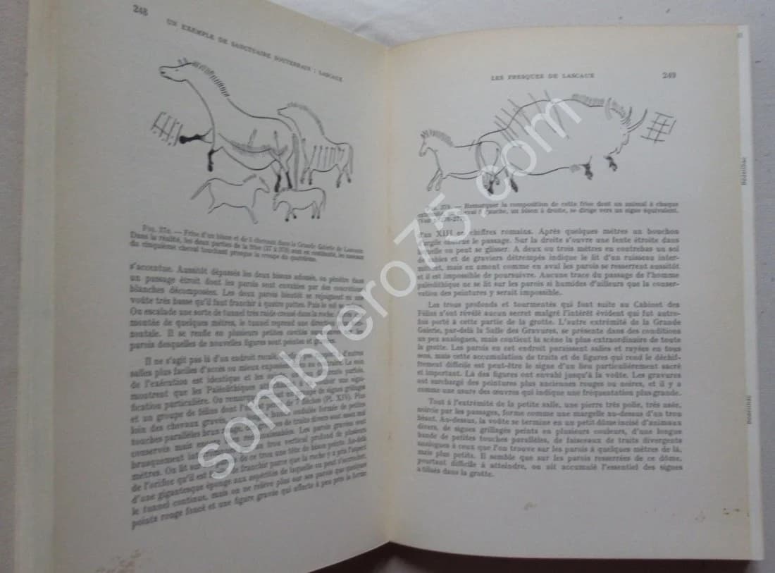 La Signification de l'Art Rupestre Paléolithique. Laming Emperaire - Image 6