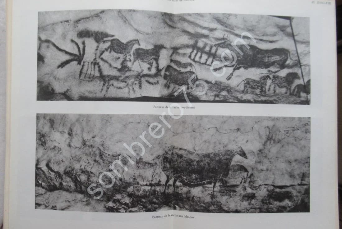 La Signification de l'Art Rupestre Paléolithique. Laming Emperaire - Image 7