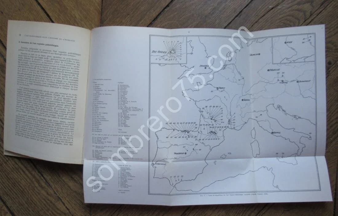 La Signification de l'Art Rupestre Paléolithique. Laming Emperaire - Image 9