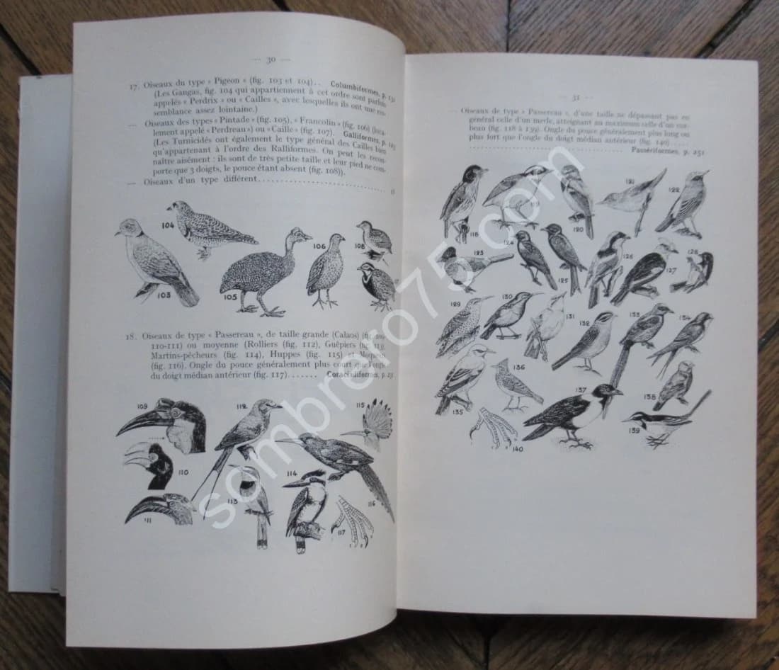 Les Oiseaux de l'Ouest Africain. 2 Fascicules. P. L. DEKEYSER - Image 4