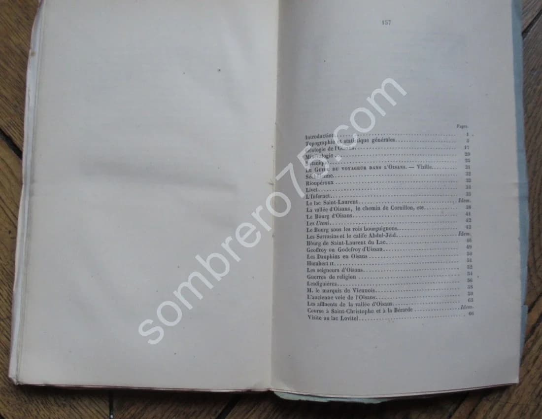 Guide du Voyageur dans l'Oisans. 9 Lithographies. J H ROUSSILLON - Image 8