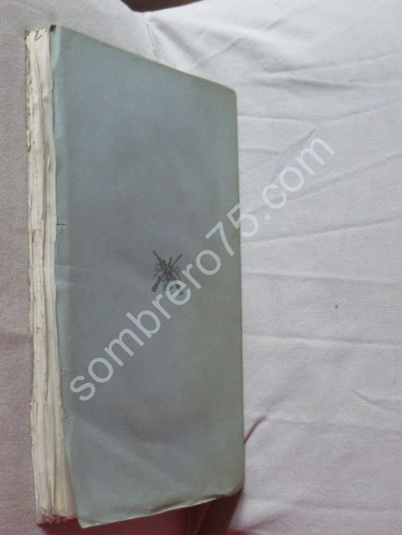 Guide du Voyageur dans l'Oisans. 9 Lithographies. J H ROUSSILLON - Image 10