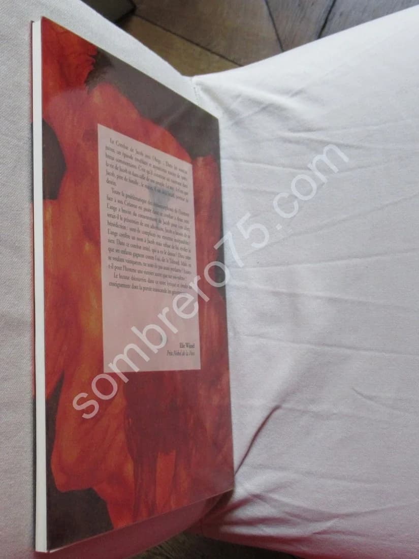 L'Ardent Combat - Jacob et l'Ange. J F THOMAS. Elie WIESEL - Image 11