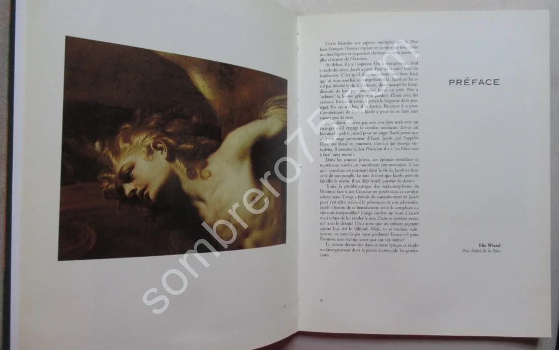 L'Ardent Combat - Jacob et l'Ange. J F THOMAS. Elie WIESEL - Image 6