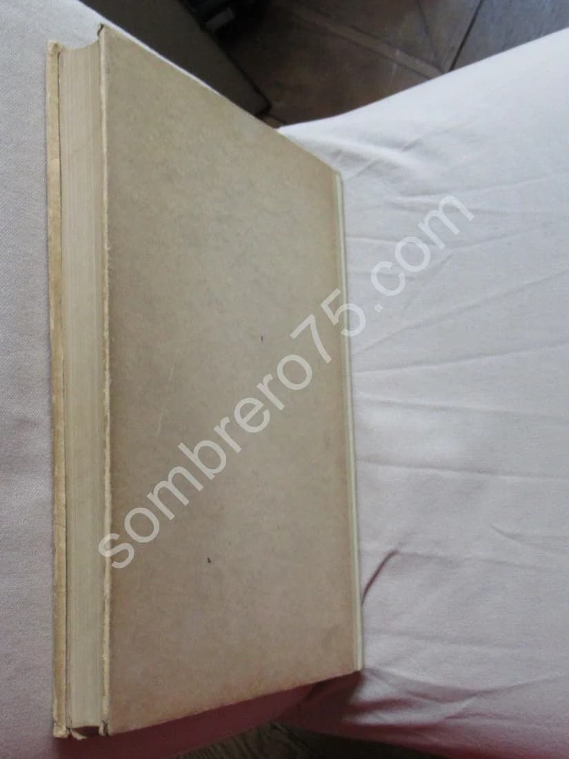 L'Ile Maurice et sa Civilisation - Image 15