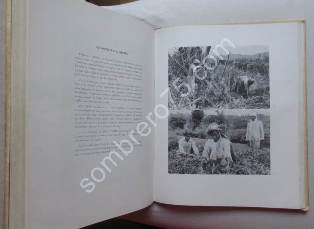 L'Ile Maurice et sa Civilisation - Image 9