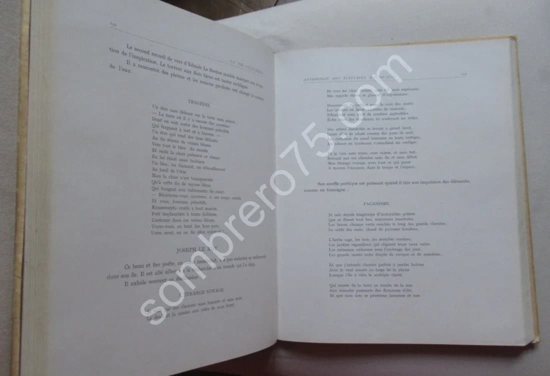 L'Ile Maurice et sa Civilisation - Image 10