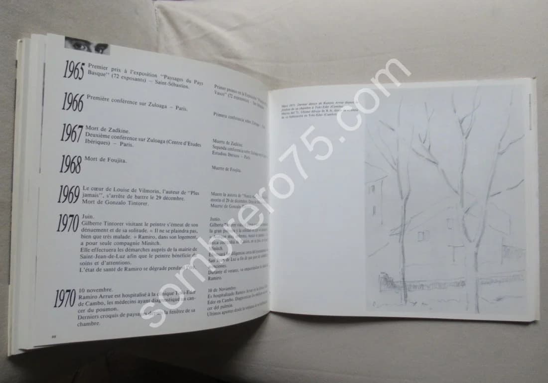 Ramiro Arrue Le Regard et le Travail - Image 7