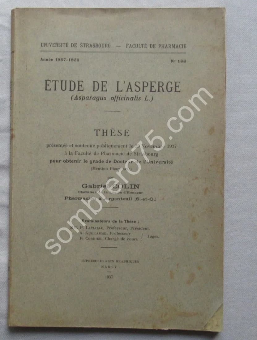 Etude de l'Asperge. Thèse