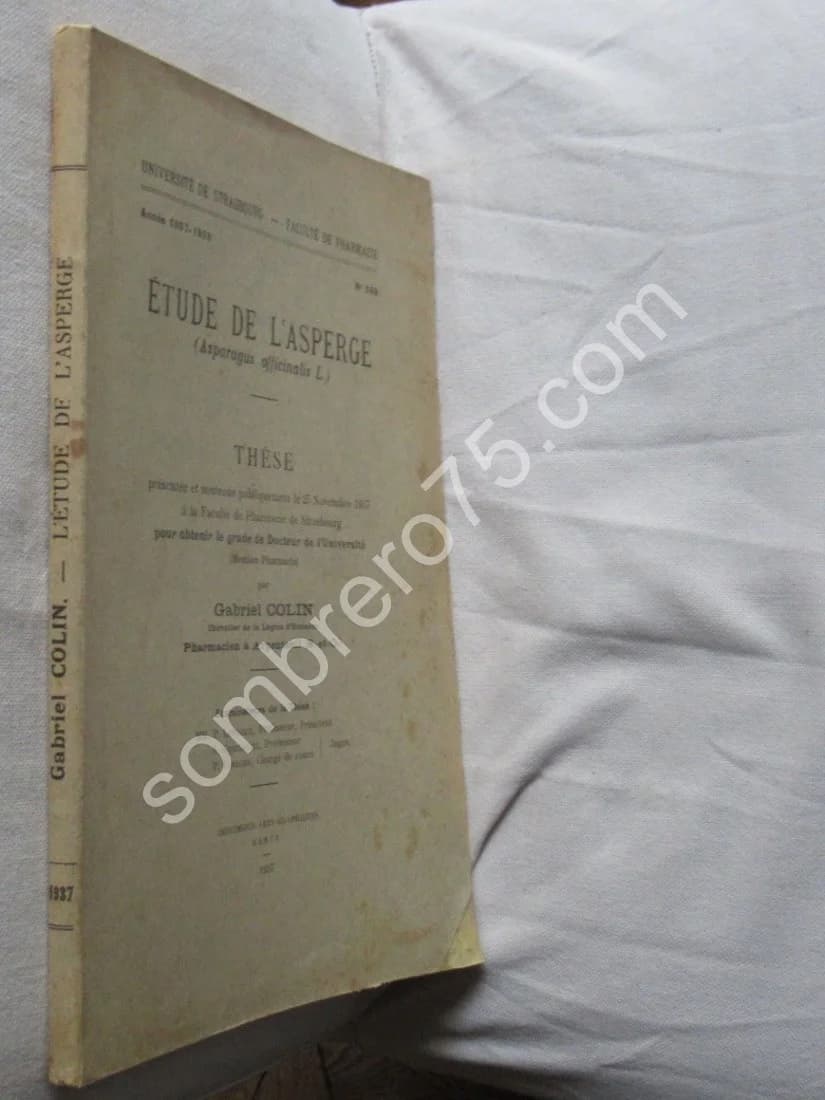 Etude de l'Asperge. Thèse - Image 2