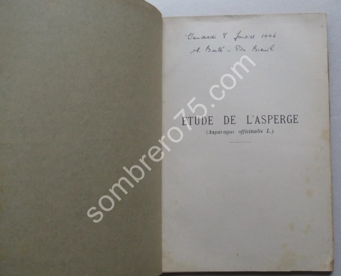 Etude de l'Asperge. Thèse - Image 3