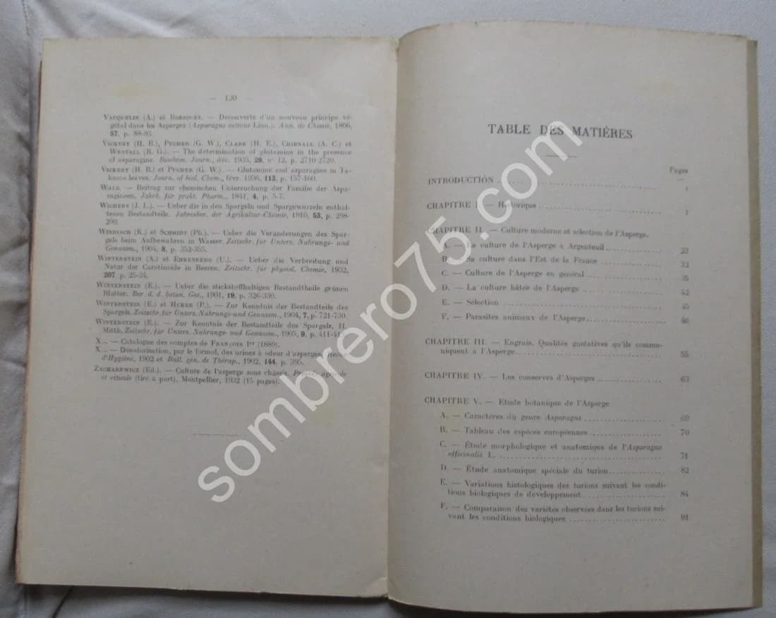 Etude de l'Asperge. Thèse - Image 6