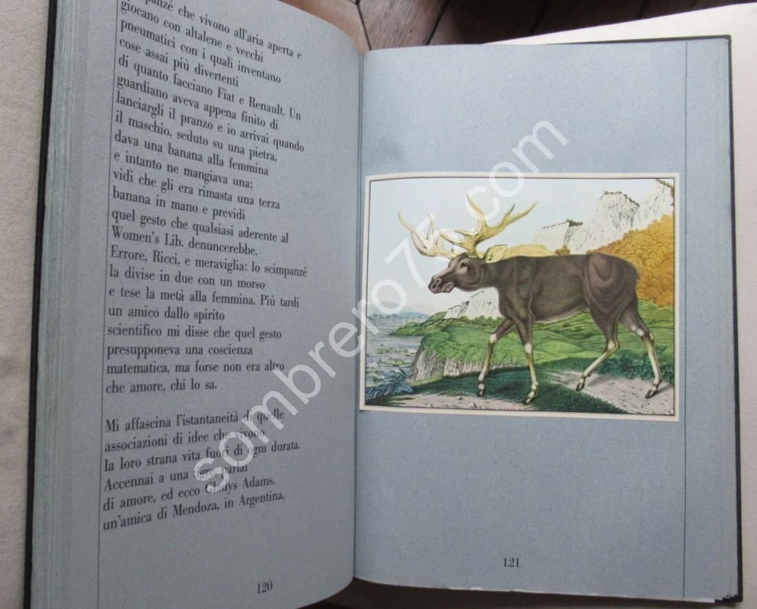 Zötl - Il bestiario di Aloys Zötl (1831-1887) - Image 4