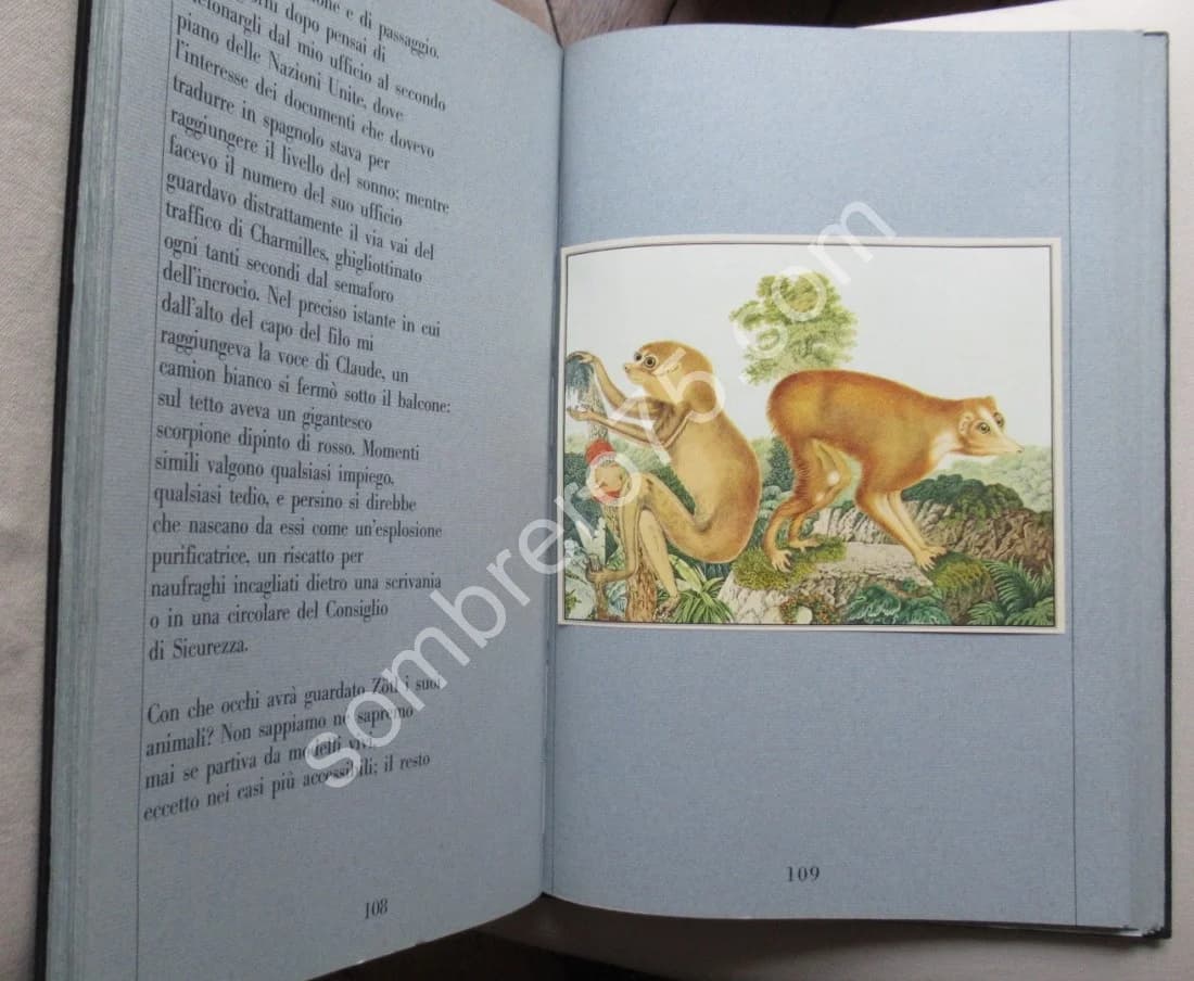 Zötl - Il bestiario di Aloys Zötl (1831-1887) - Image 5