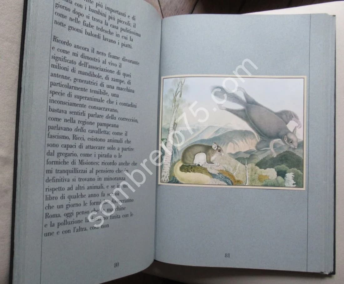 Zötl - Il bestiario di Aloys Zötl (1831-1887) - Image 6