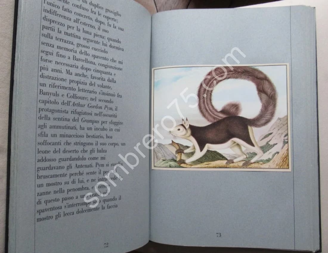 Zötl - Il bestiario di Aloys Zötl (1831-1887) - Image 7