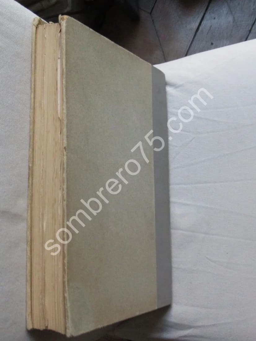 La Syrie Antique et Médiévale illustrée - Image 13