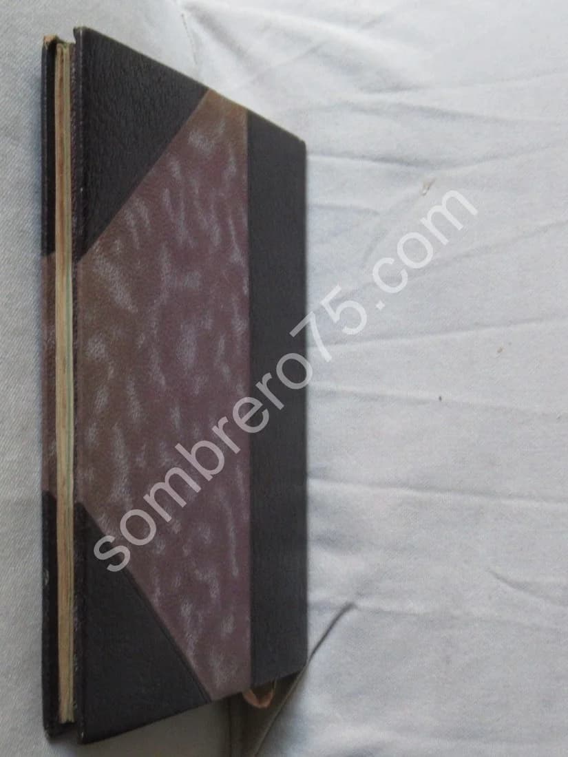 Dernières Heures de Rachel. Dr Tampier 1858 - Image 7