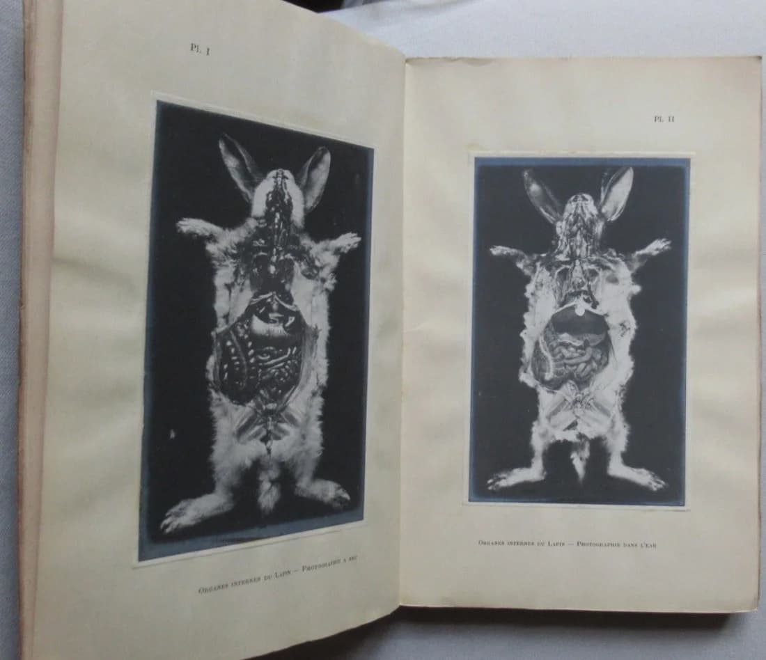 La Photographie des Objets Immergés. A. L. DONNADIEU - Image 4