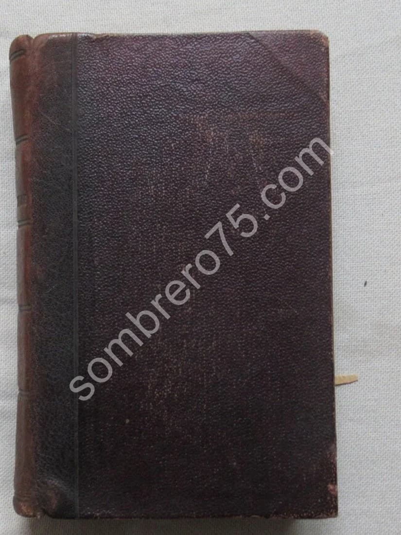 Guide de l'Homeopathe ou Traitement de plus de mille maladies 1851 - Image 3