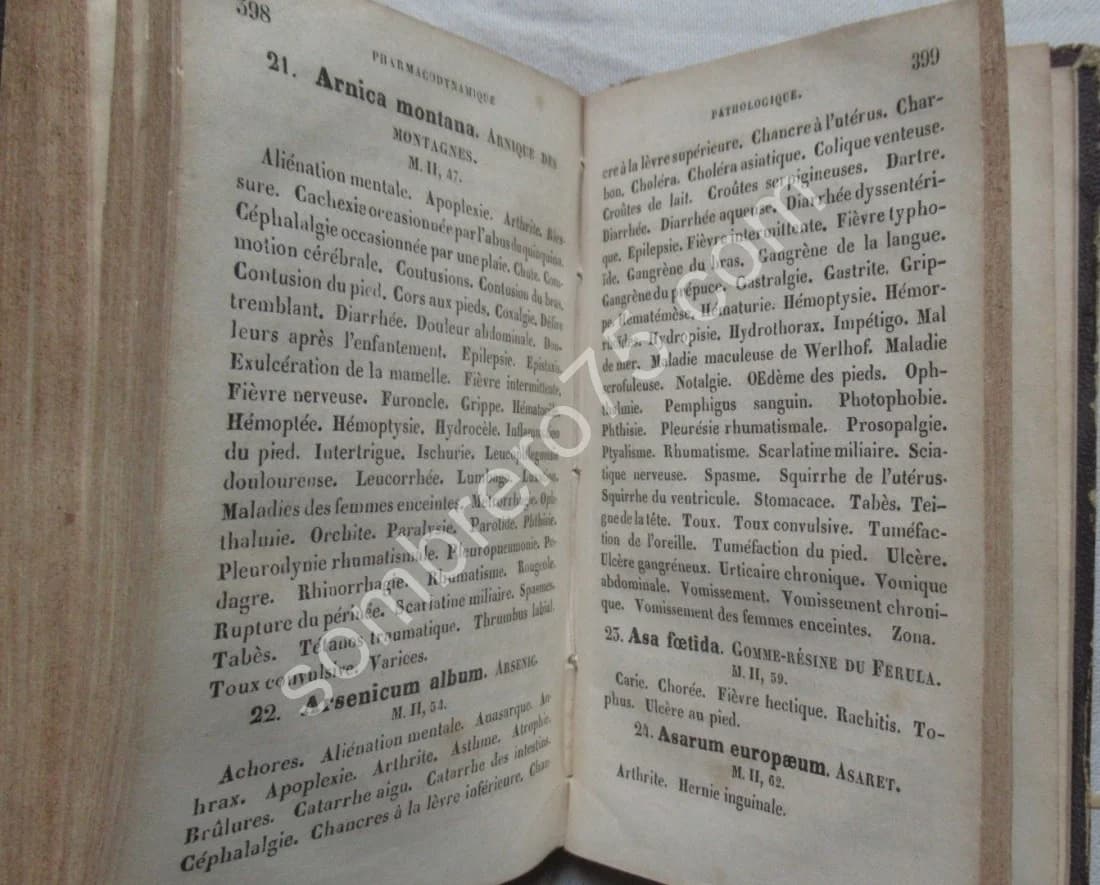 Guide de l'Homeopathe ou Traitement de plus de mille maladies 1851 - Image 6