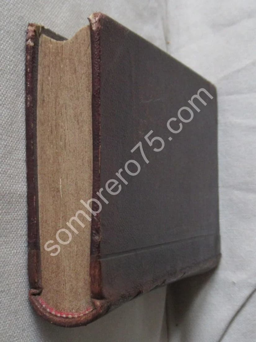 Guide de l'Homeopathe ou Traitement de plus de mille maladies 1851 - Image 7