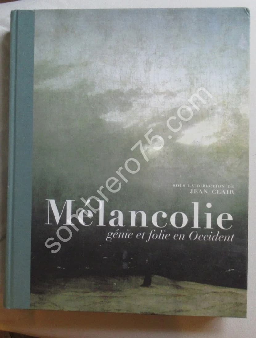 Mélancolie Génie et folie en Occident