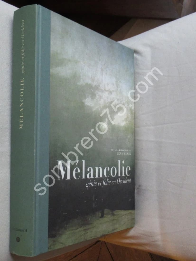 Mélancolie Génie et folie en Occident - Image 2