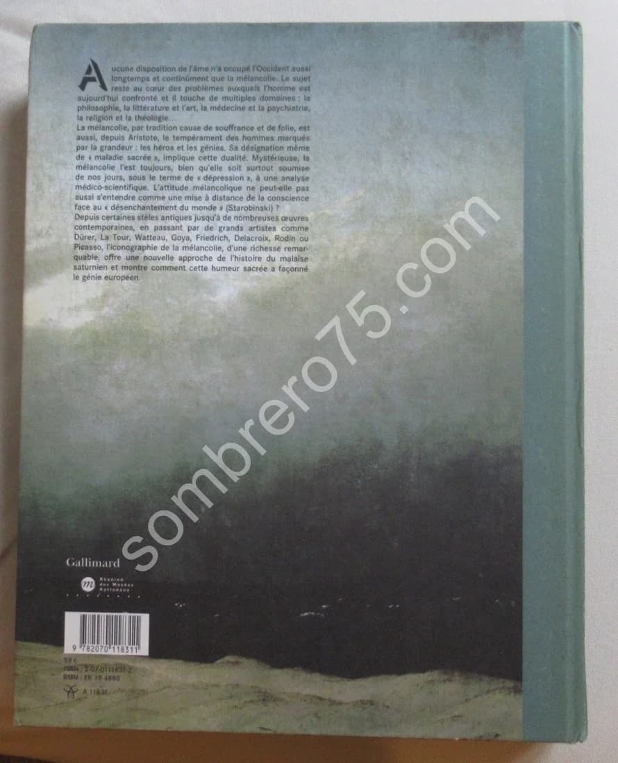 Mélancolie Génie et folie en Occident - Image 11