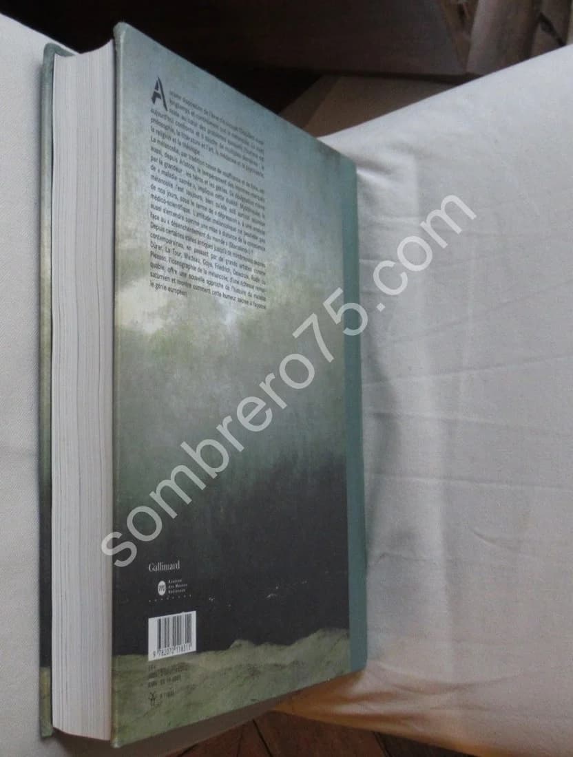 Mélancolie Génie et folie en Occident - Image 12