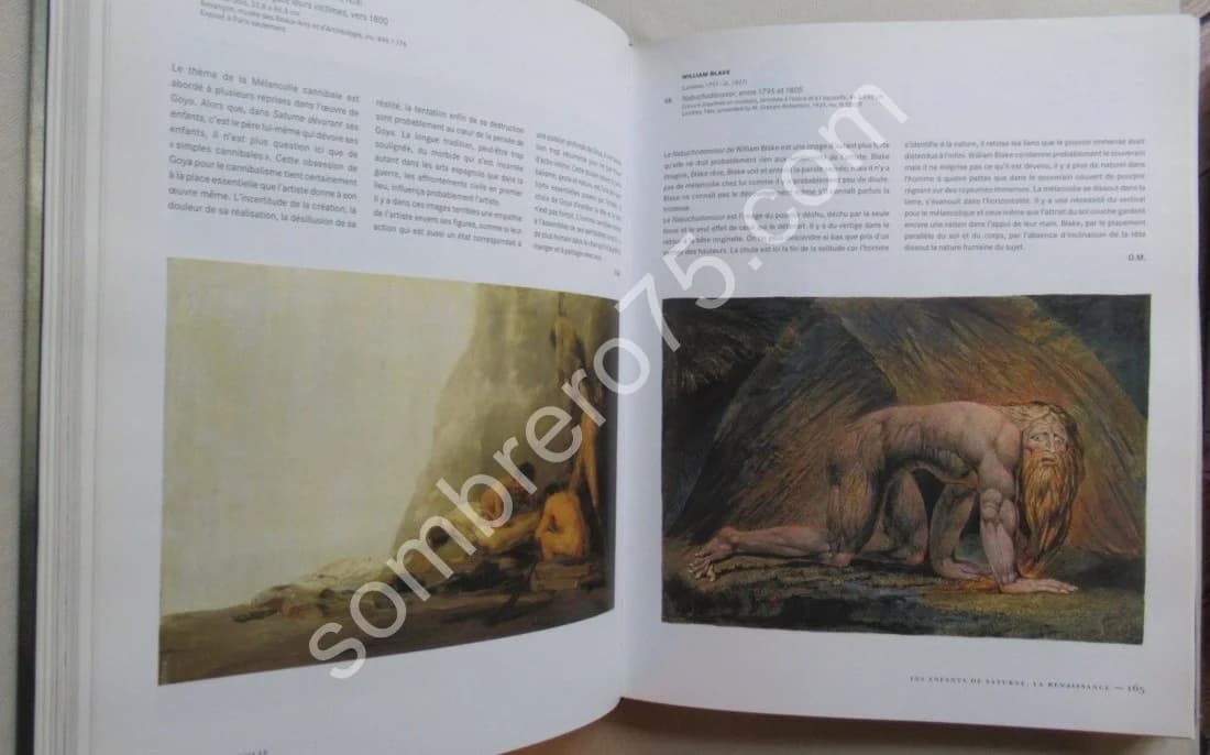 Mélancolie Génie et folie en Occident - Image 4