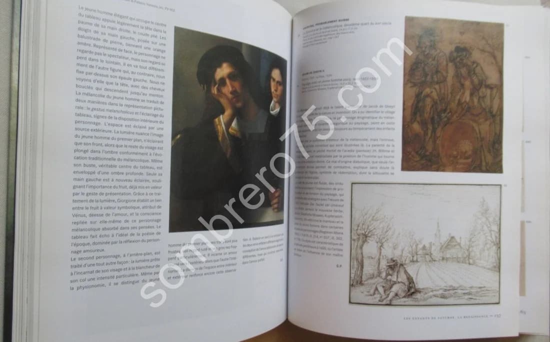 Mélancolie Génie et folie en Occident - Image 5