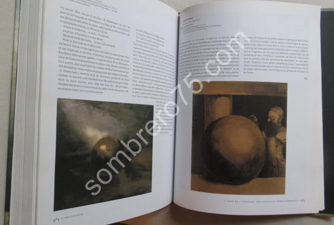 Mélancolie Génie et folie en Occident - Image 6