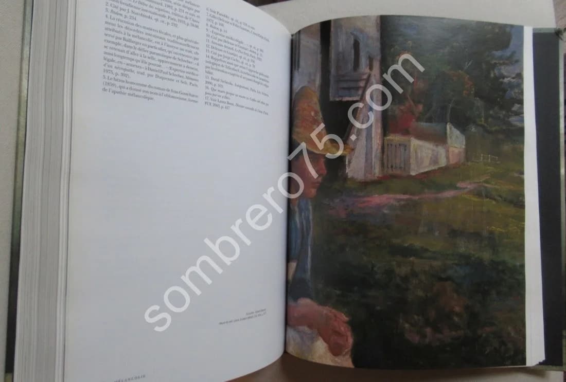 Mélancolie Génie et folie en Occident - Image 7