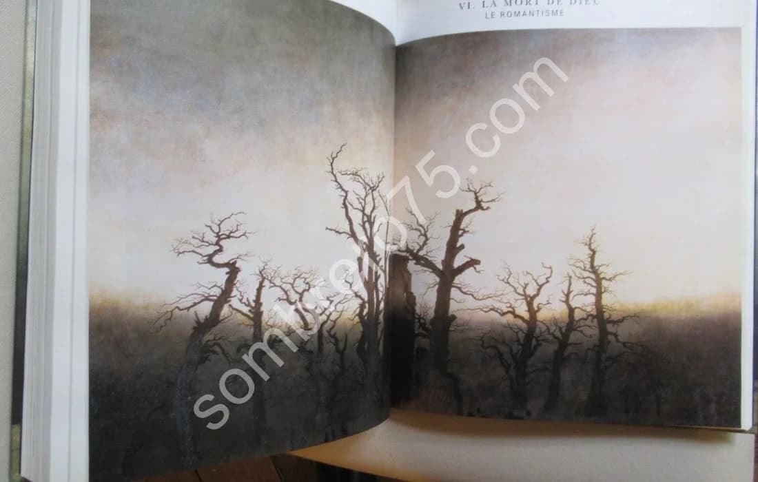 Mélancolie Génie et folie en Occident - Image 9