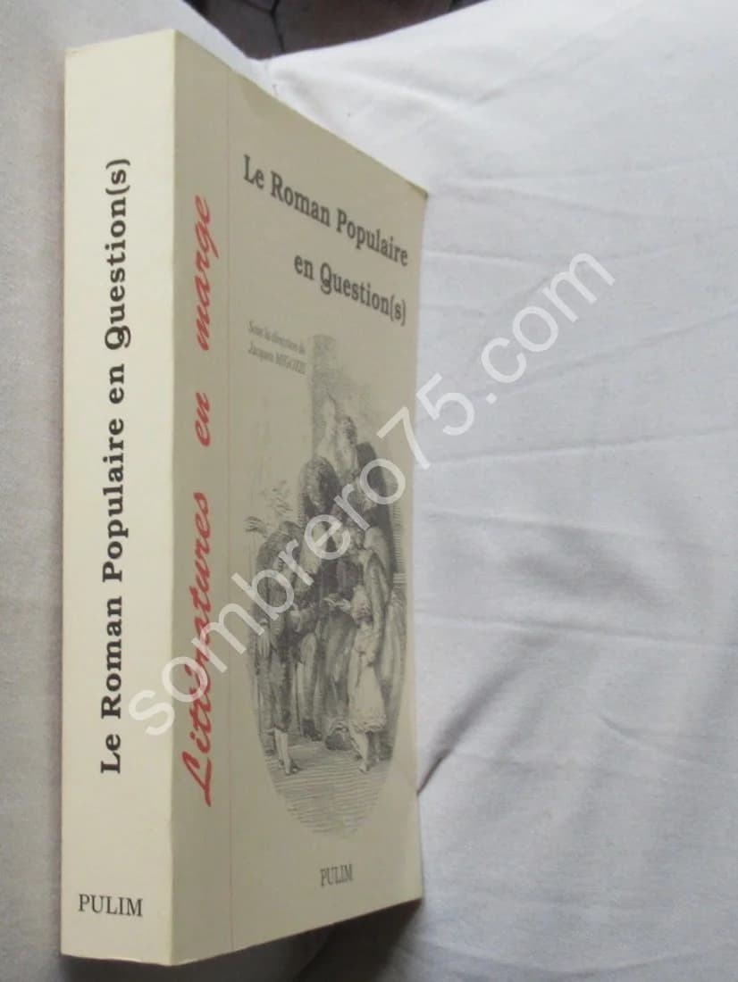 Le Roman Populaire en Question (s). Acte Colloque International 1995. J MIGOZZI - Image 2