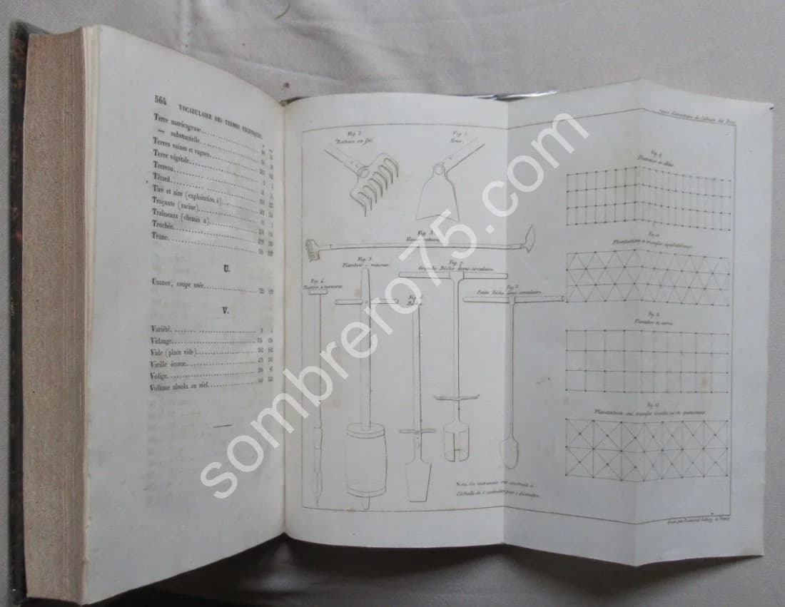 Cours Elémentaire de Culture des Bois Ecole Royale Forestière Nancy - Image 7