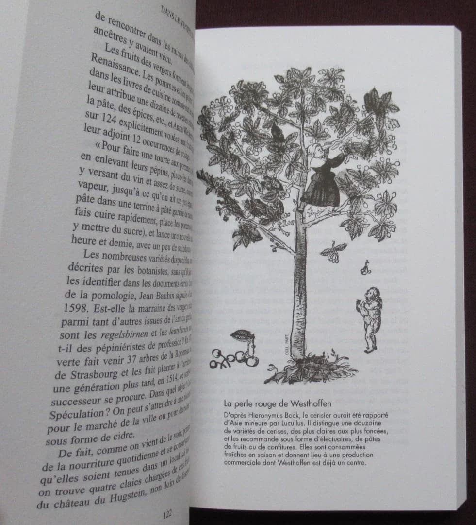 Dans le Ventre de l'Alsace. L'Âge d'Or de la gastronomie alsacienne. G BISCHOFF - Image 6