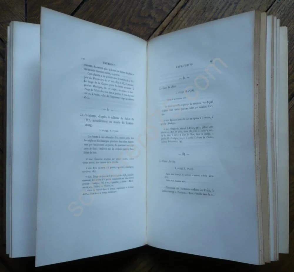 C Daubigny et son Oeuvre Gravé. Eaux Fortes et Bois Inédits. Héliogravures Durand 1875 - Image 6