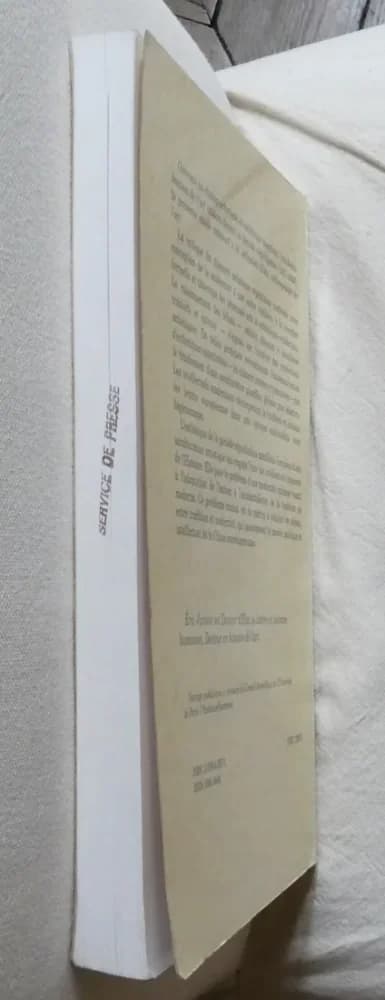 50 ans d'Esthétique Moderne Chinoise. Eric JANICOT - Image 7
