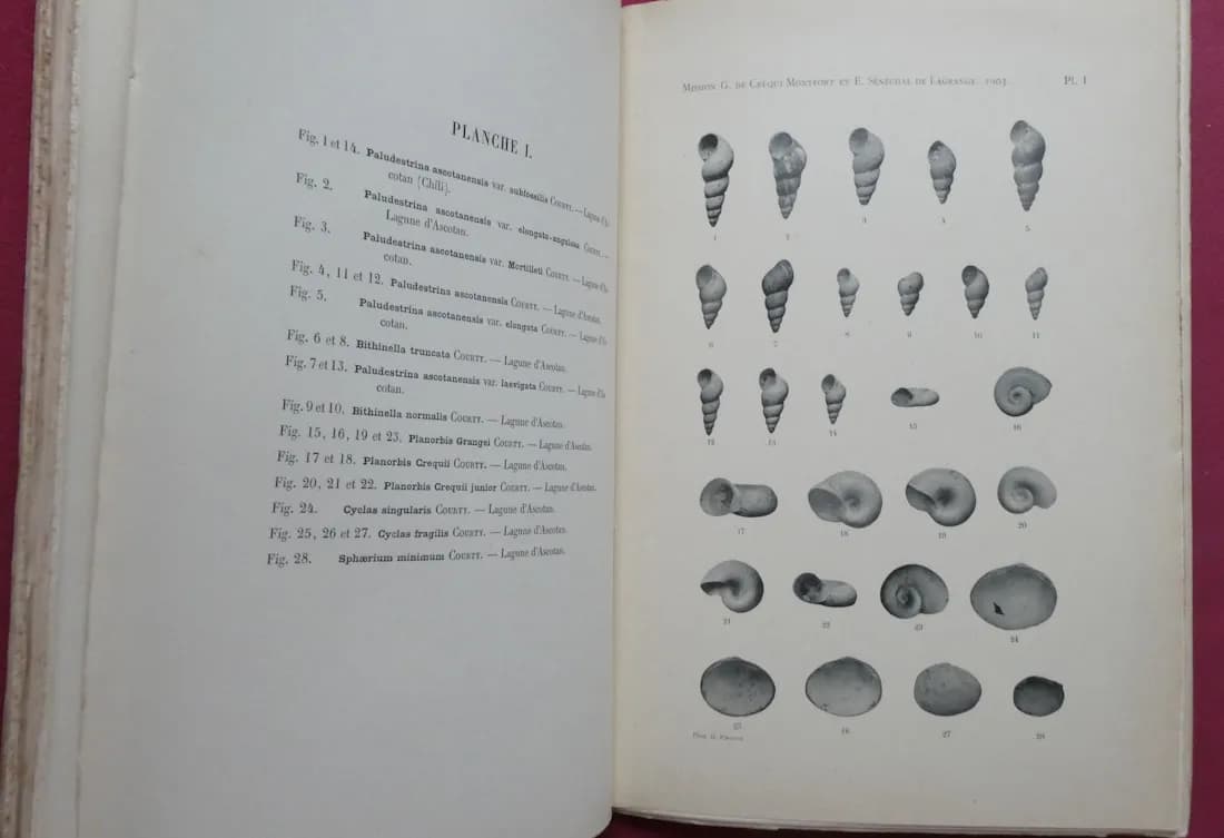 Mission Scientifique Amérique du Sud. Mammifères - Les Lacs -  Explorations Géologiques - Image 11