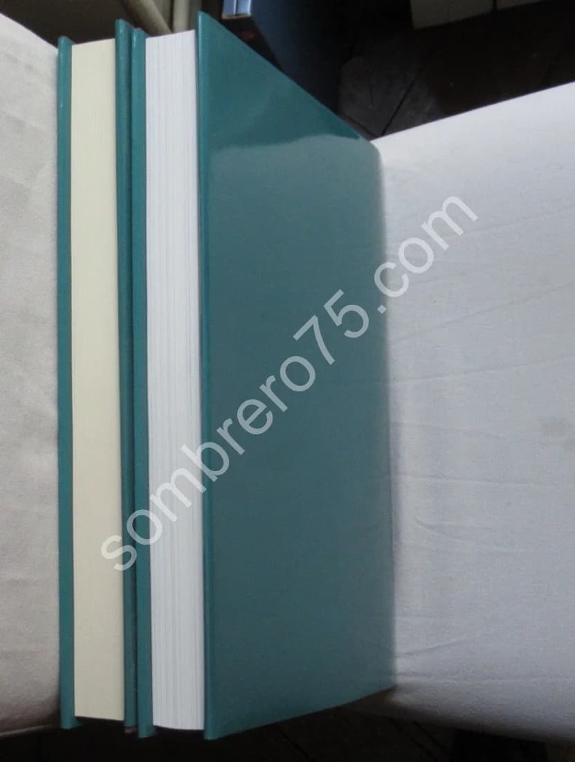 Van Dyck Dessins et Peintures. Arthur K Wheelock - 2 Tomes sous emboitages - Image 16