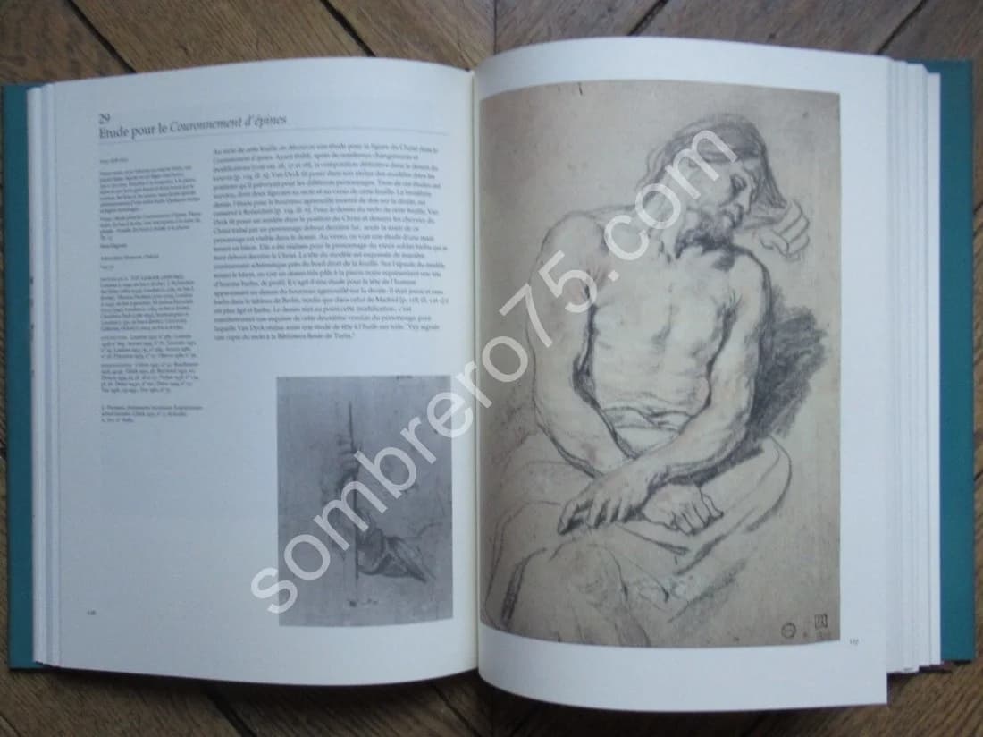 Van Dyck Dessins et Peintures. Arthur K Wheelock - 2 Tomes sous emboitages - Image 9